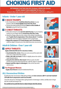 chocking first aid poster