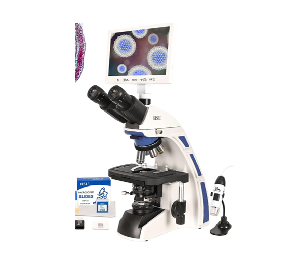 Most Affordable Electron Microscopes