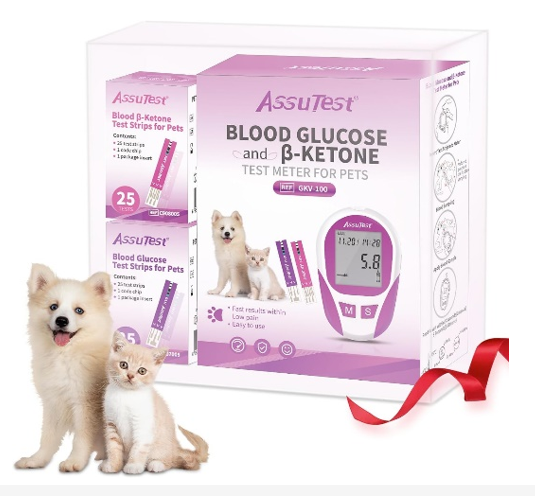 AssuTest® Blood Glucose And Blood Ketone Test Meter Kit