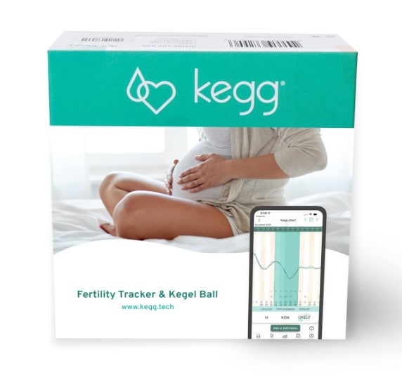 Top Fertility Testing Kits