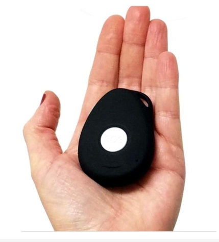 Assistive Technology Services SkyAngel911FD