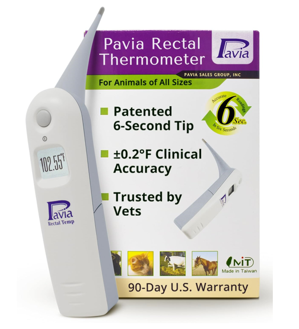 Pavia Rectal pet thermometer for dogs 