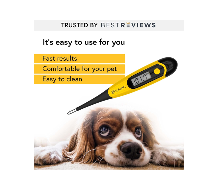 Best Pet Thermometer For Dogs