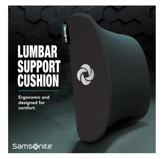 Samsonite best lumbar support for back pain