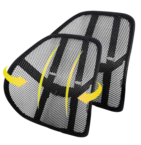 Kingphenix Lumbar Support (2 Pack) 