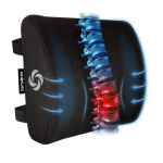 Best Lumber Support For Back Pain