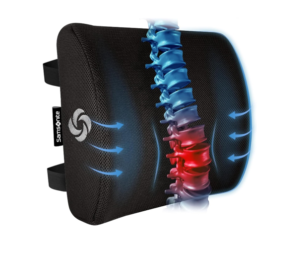 Best Lumber Support For Back Pain